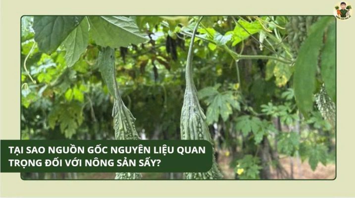 những lý do khiến nông sản sấy trở thành xu hướng