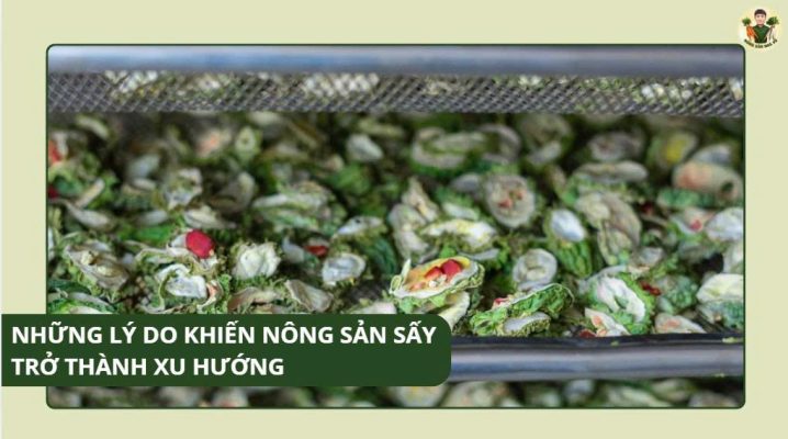 những lý do khiến nông sản sấy trở thành xu hướng