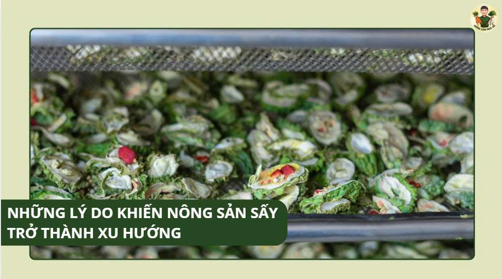 Rau Củ An Toàn