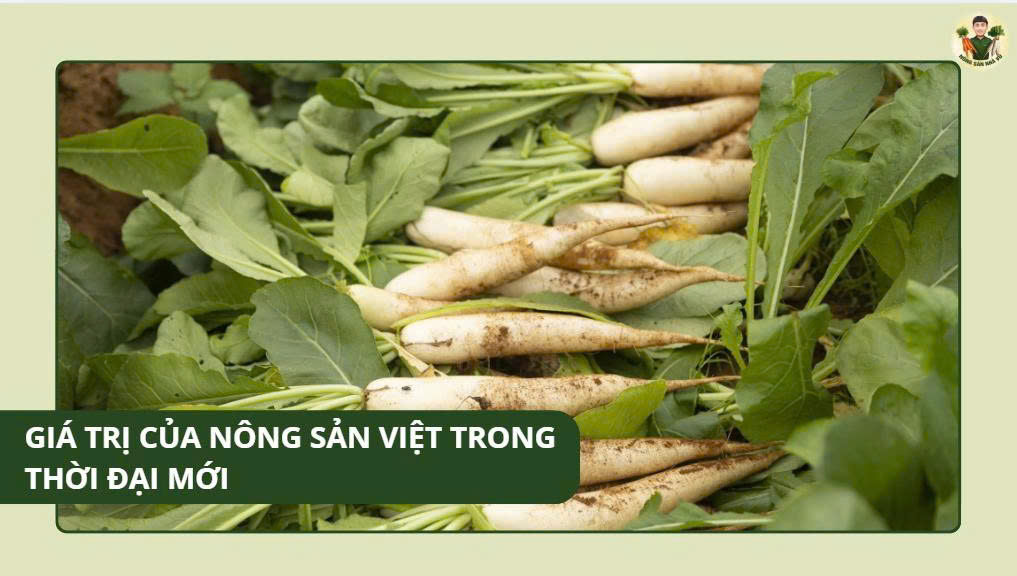 Giá Trị Của Nông Sản Việt Trong Thời Đại Mới nông sản sạch