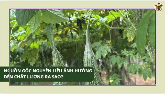 Vì Sao Chất Lượng Luôn Quan Trọng Hơn Giá Rẻ