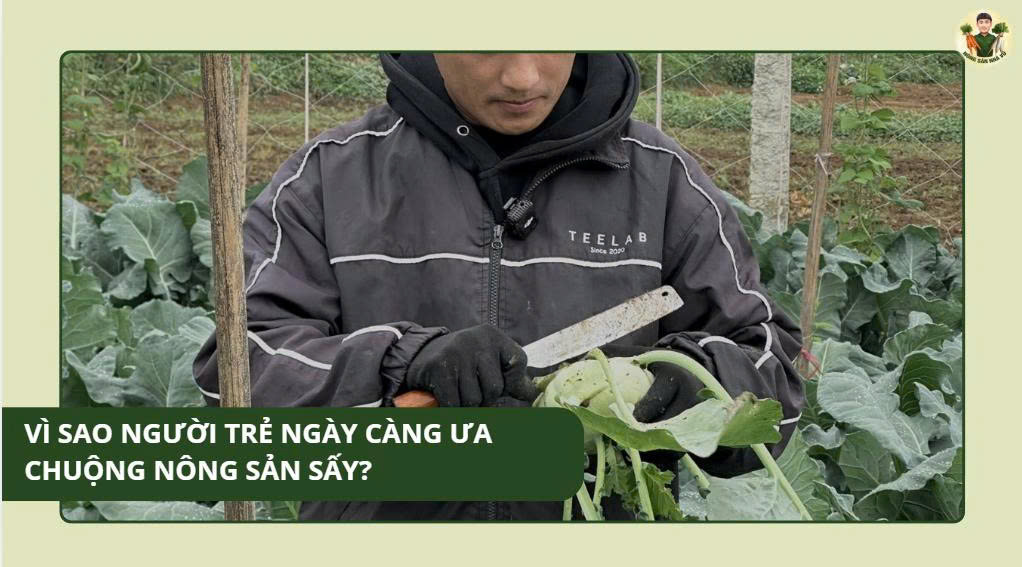 Vì Sao Người Trẻ Ngày Càng Ưa Chuộng Nông Sản Sấy? Quy Trình Đóng Cân Và Đóng Gói Sản Phẩm