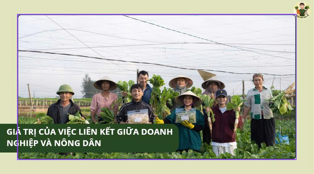 Quy Trình Sơ Chế Và Đóng Gói Rau Củ Sấy Tại Xưởng
