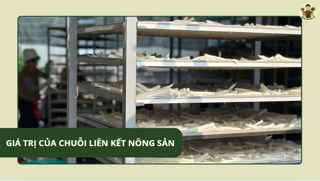 Trà Đông Trùng Ngủ Ngon ATC