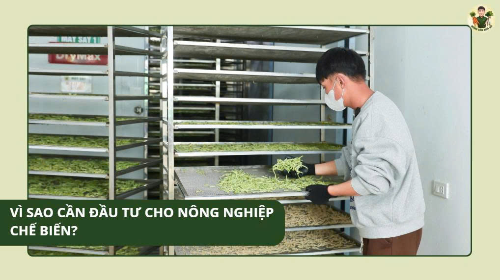 Vì Sao Cần Đầu Tư Cho Nông Nghiệp Chế Biến? nông nghiệp chế biến