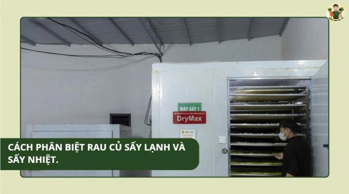 Vì sao rau củ sấy dễ hút ẩm
