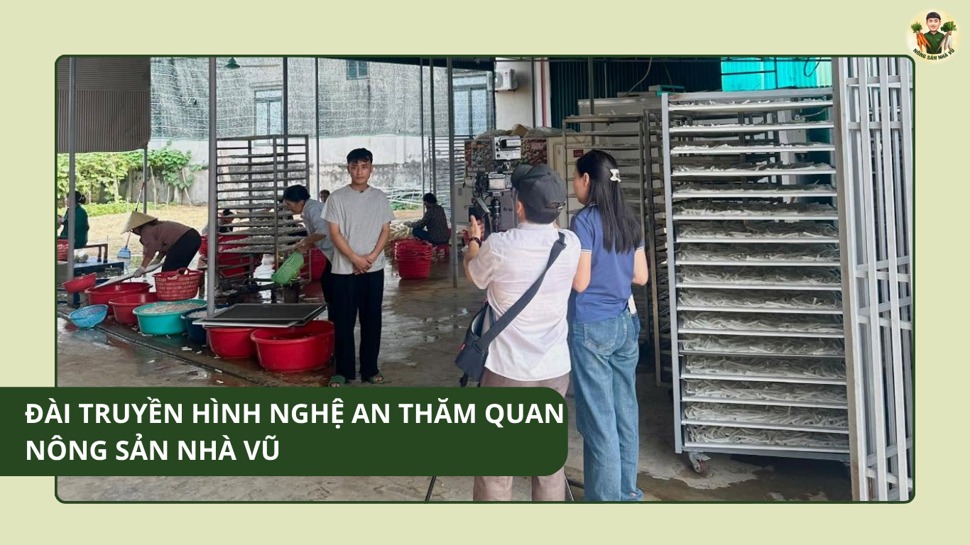 Đài Truyền Hình Nghệ An Thăm Quan Nông Sản Nhà Vũ Đài Truyền Hình Nghệ An Thăm Quan Nông Sản Nhà Vũ