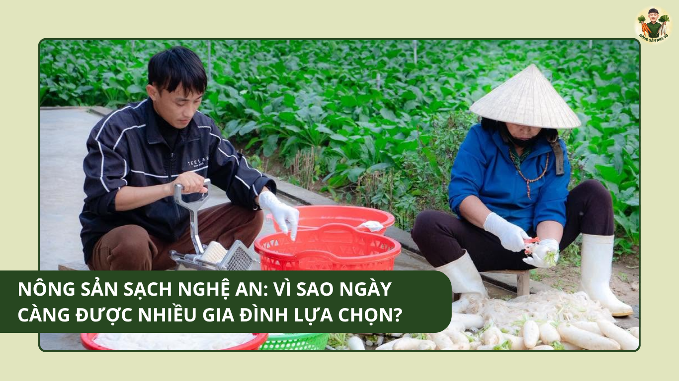 nông sản sạch Nghệ An