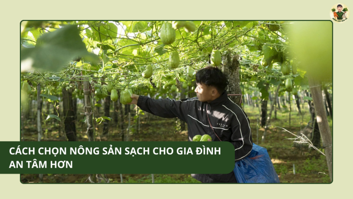 Cách Chọn Nông Sản Sạch