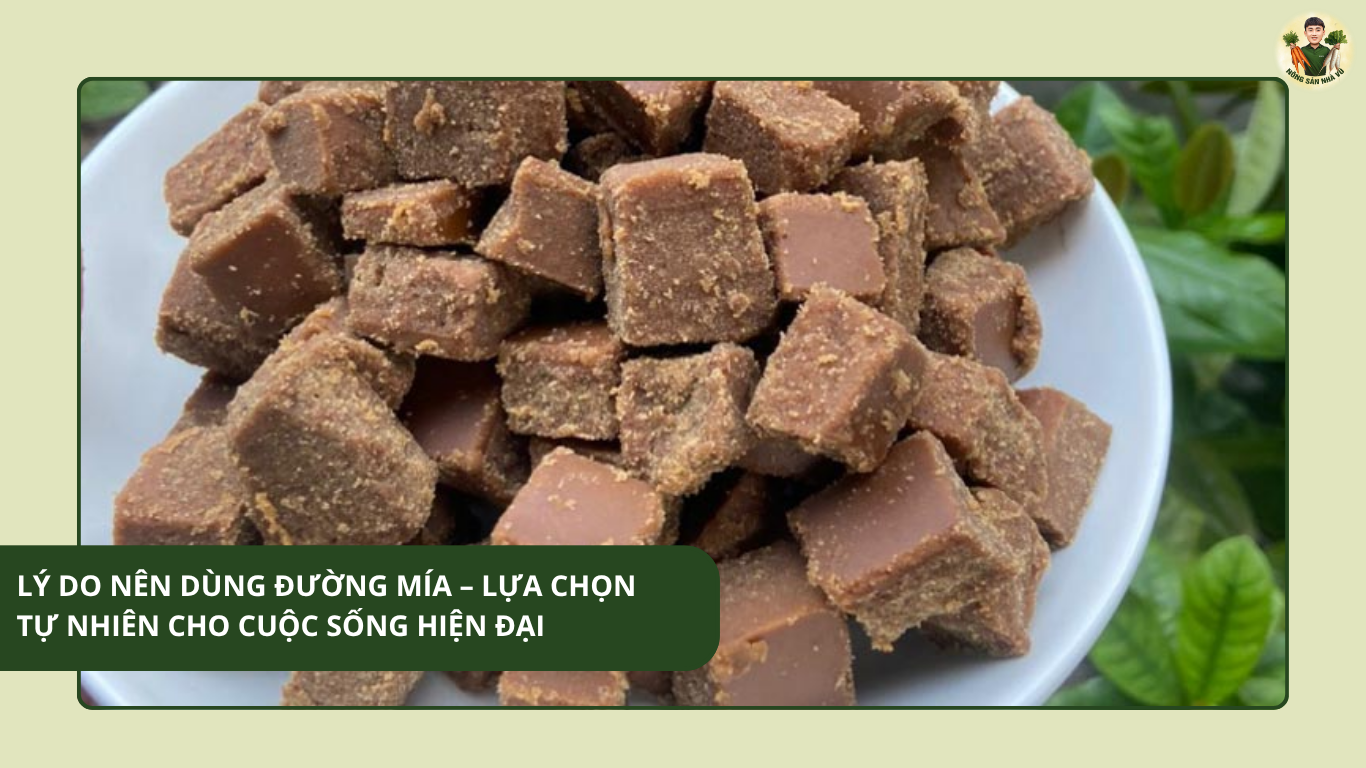 Bảo Quản Rau Củ Sấy
