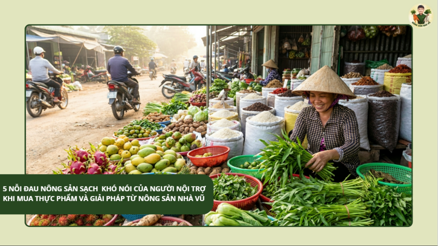 Thu Hoạch Su Su – Vũ Nông Sản