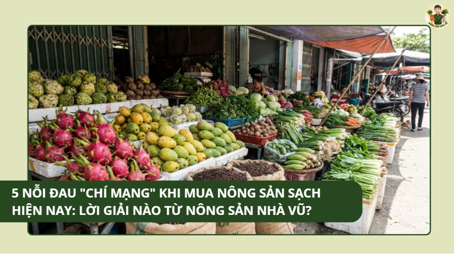 Quy Trình Thu Hoạch Cà Rốt Sạch Tại Nông Trại