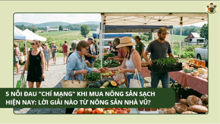 Cách phân biệt rau củ sấy lạnh và sấy nhiệt