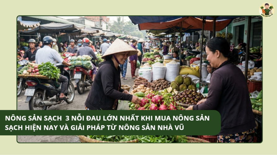 Trà Đông Trùng Ngủ Ngon ATC