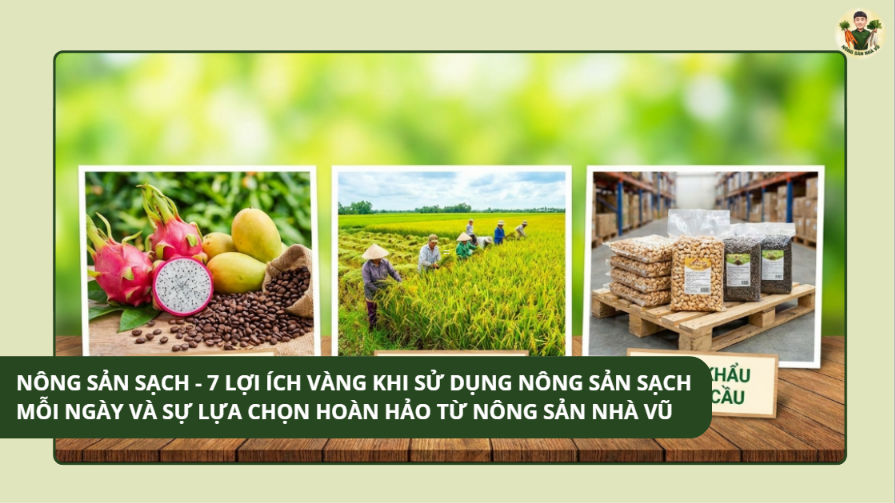 vì sao người trẻ ngày càng ưa chuộng nông sản sấy
